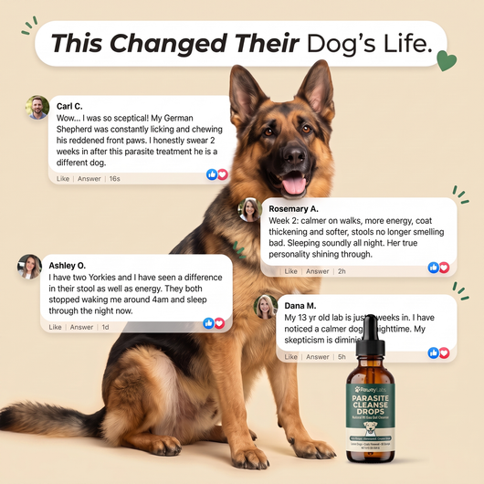 PawGutsy Parasite Cleanse Drops
