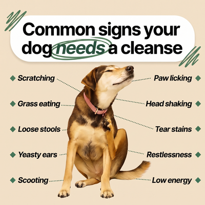 PawGutsy Parasite Cleanse Drops